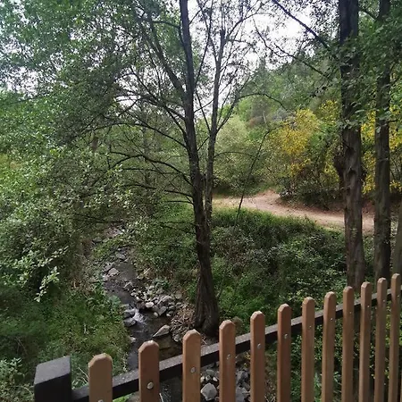 The Cave Daire